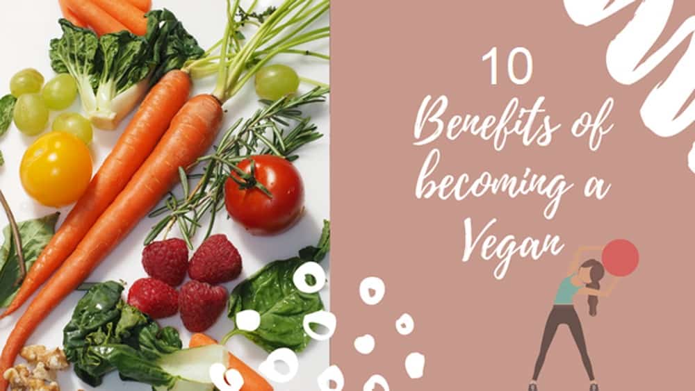 Vegan Recipes Cacao-Shamaness Top 10 Powerful Benefits of Going Vegan Blog Post